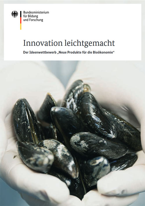 Broschüre "Innovation leichtgemacht"