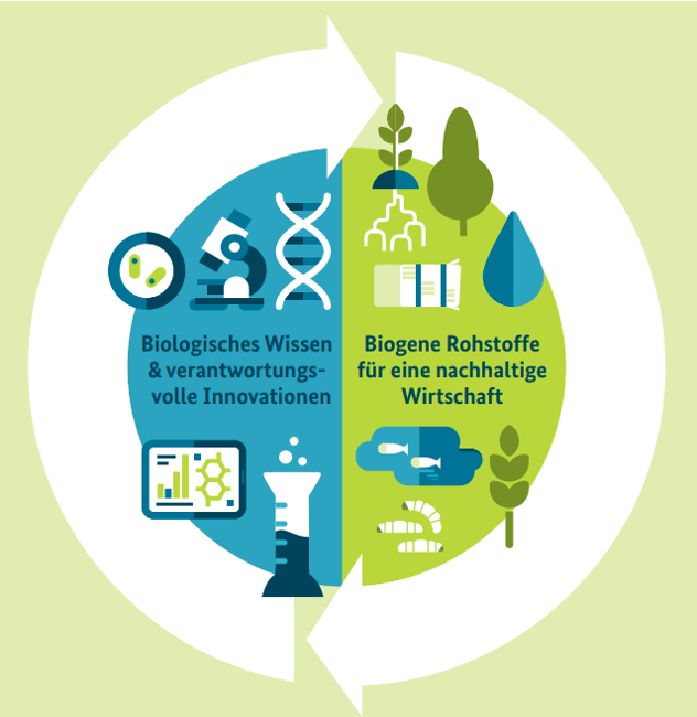 Die Leitlinien der Nationalen Bioökonomiestrategie Grafik