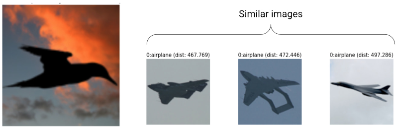 Example-based explanation showing a misclassified image of a bird in 
silhouette and similar images of planes in silhouette from the training 
data.