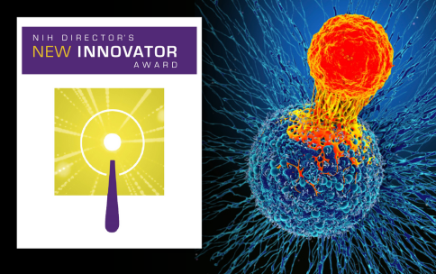 Image of the New Innovator Award logo next to a bright immune cell attacking a cancer cell