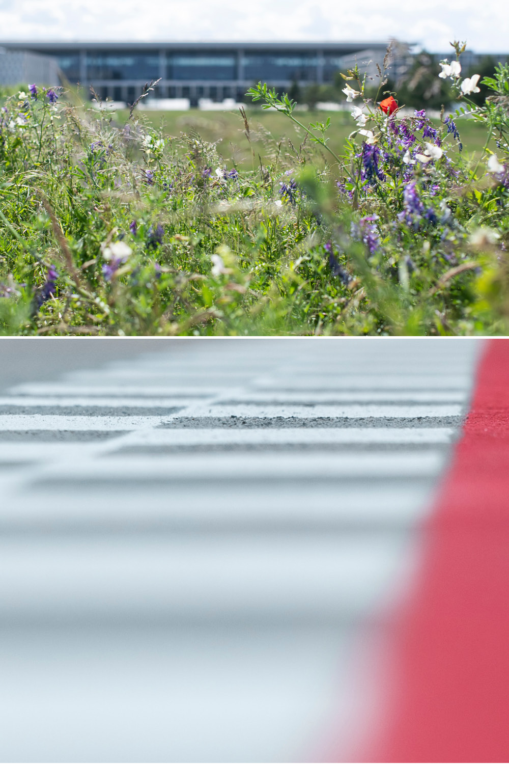 Meadow in front of Terminal 1