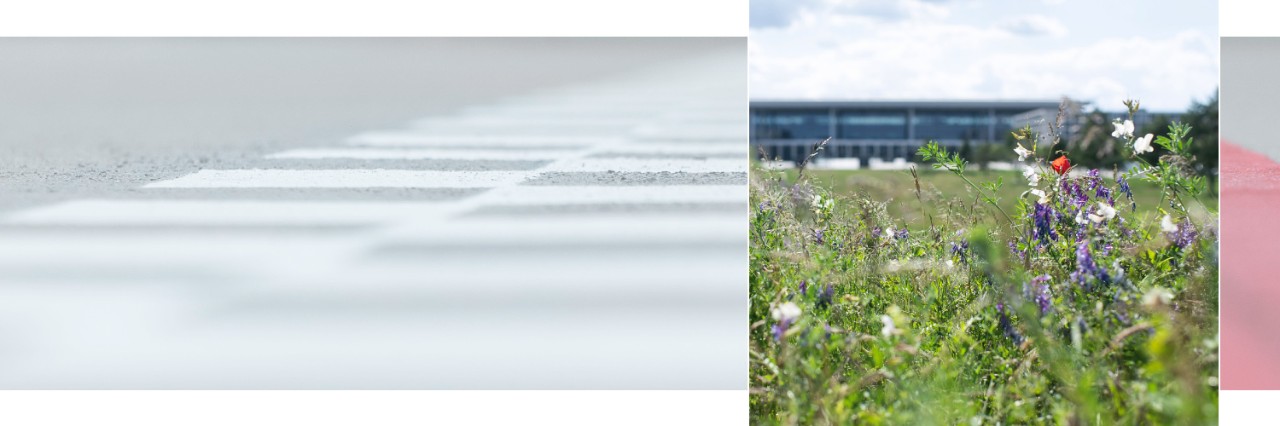 Meadow in front of terminal