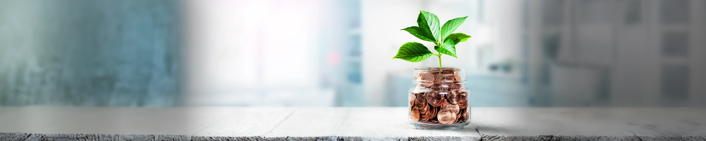 A healthy plant growing from a jar with pennies as soil