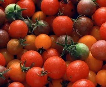 Tomatoes in Italy: The Social Cost of Production