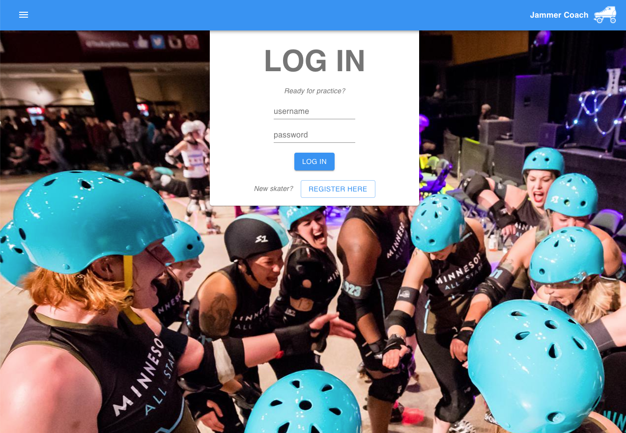 Log in View