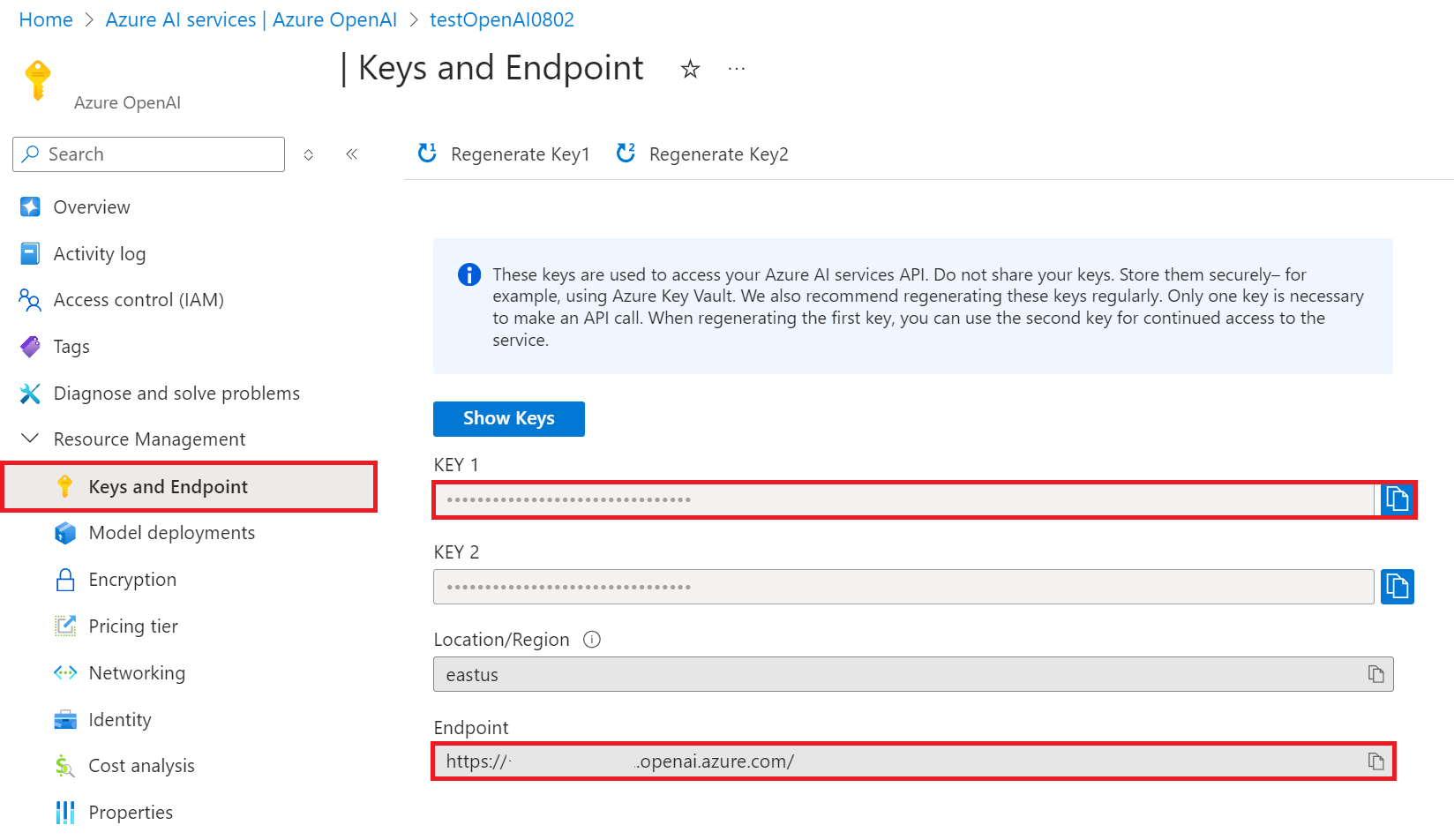 Copy OpenAI key, endpoint.