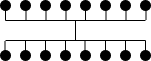 Complete Bipartite Graph Bundled