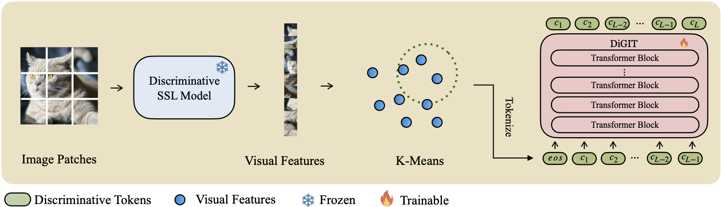 The overview of DiGIT