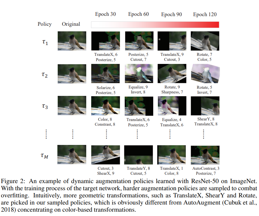 dynamic_augmentation