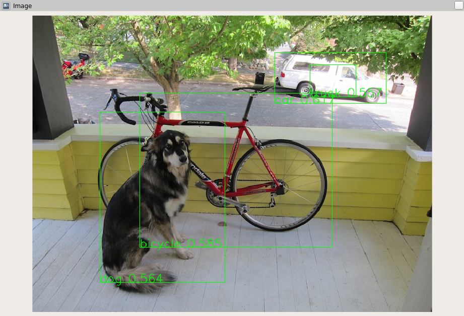 Example image with bounding boxes created using darknet and the yolov3-tiny network