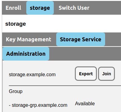 Available Storage Group