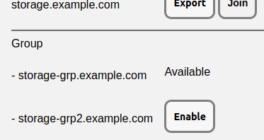 Enabling Storage Group