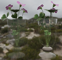 Glass Vase with Flowers