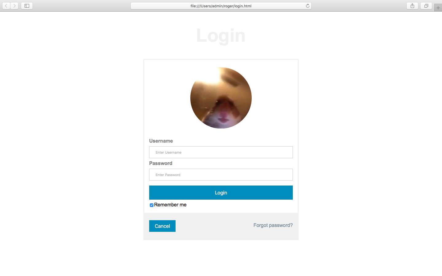 login_page