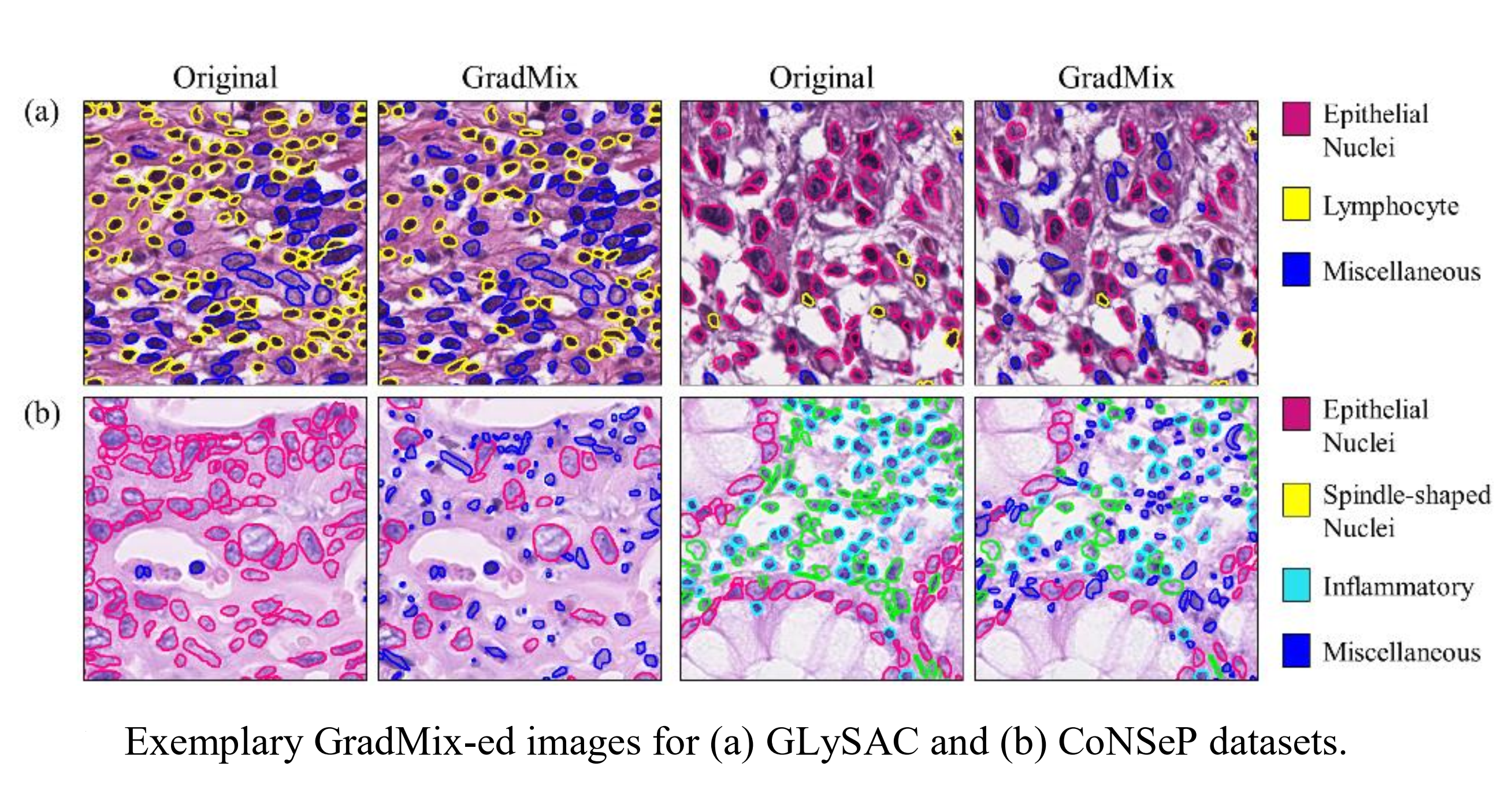 Grad_mix_Examples