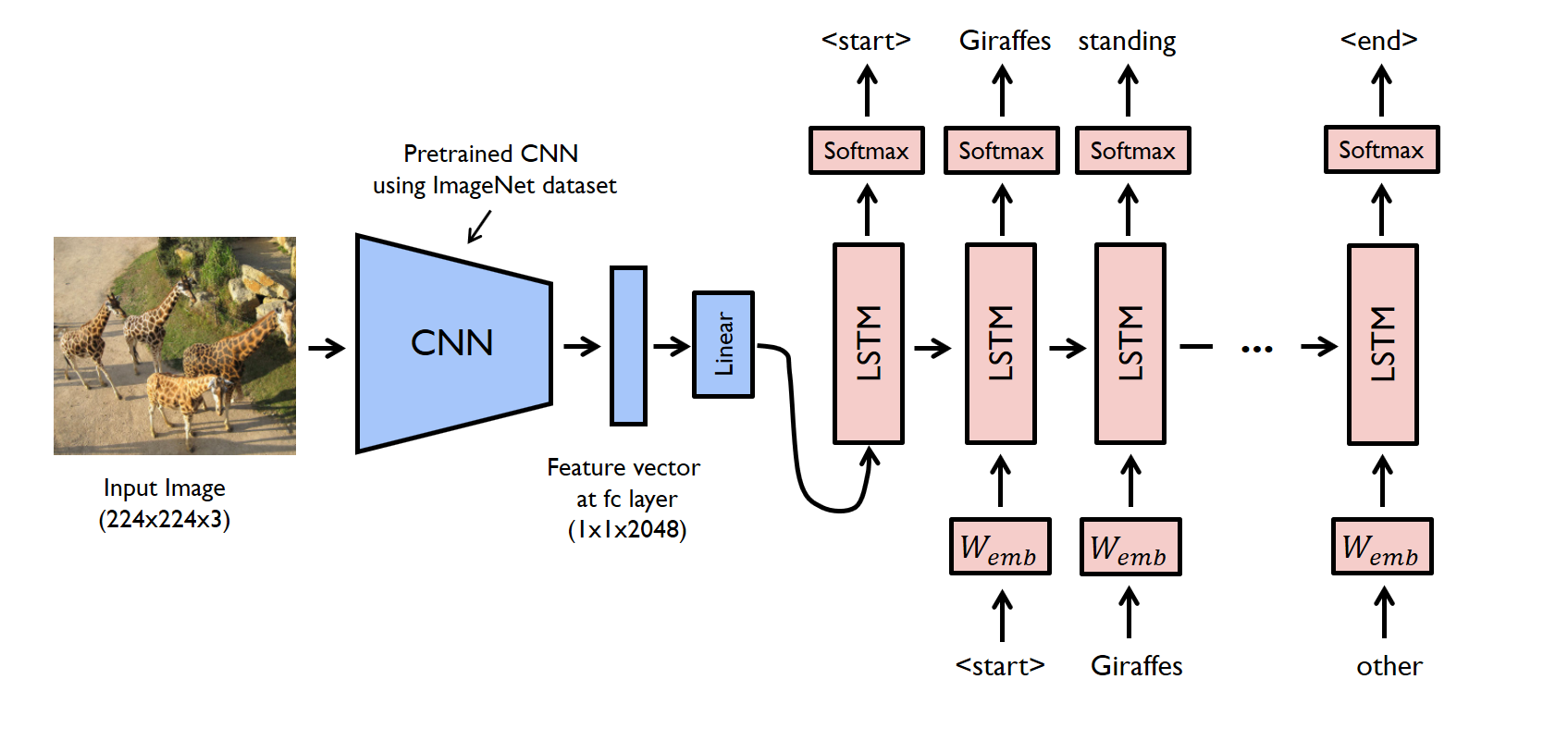 Network