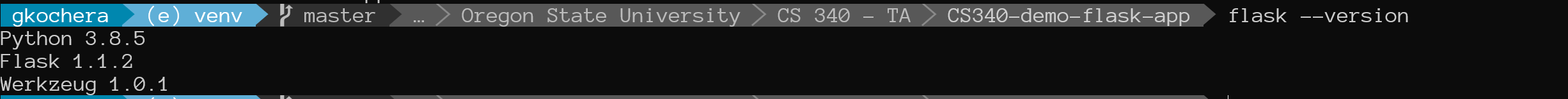 flask version in terminal