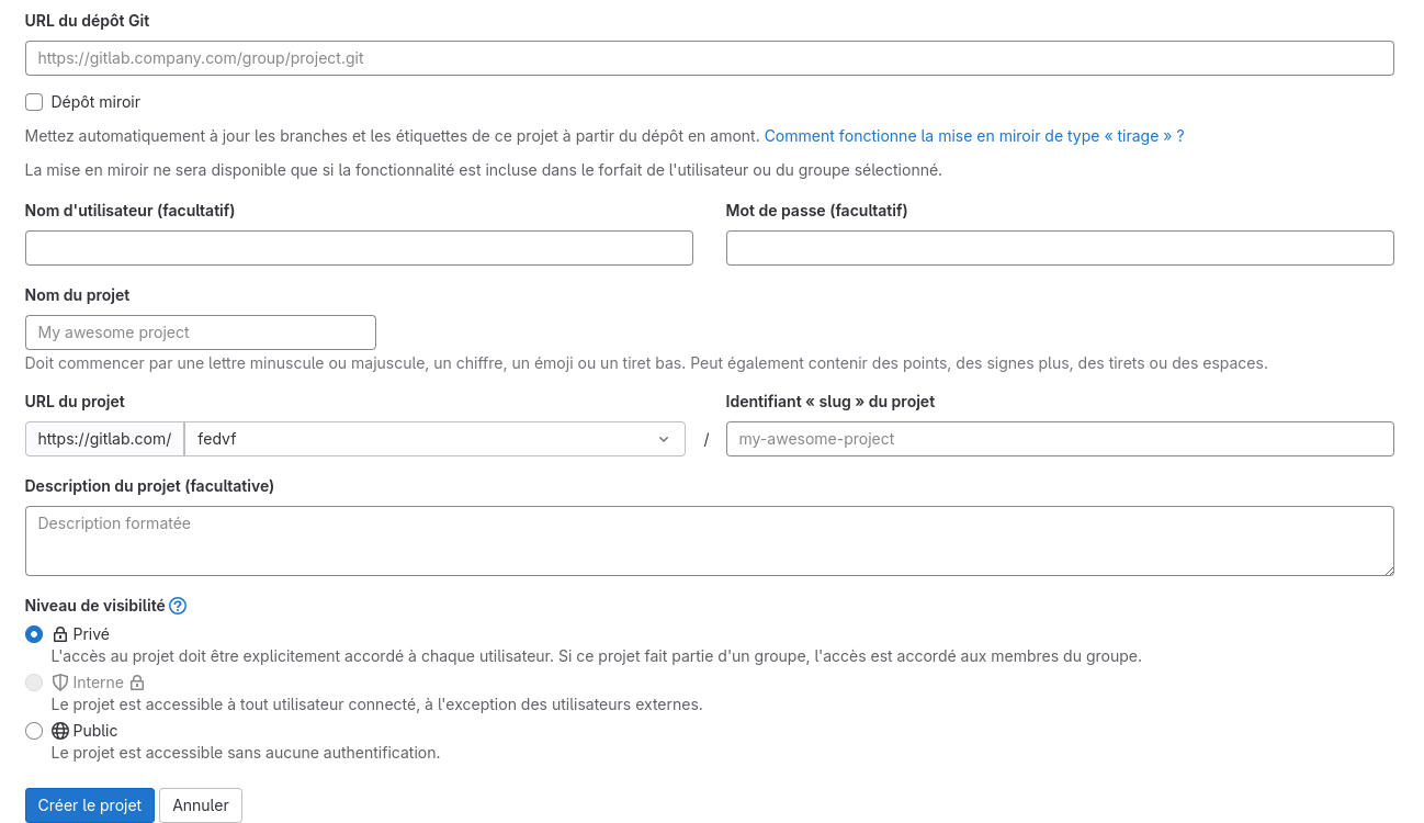 Capture des Champs demandés par Gitlab pour autoriser le clonage du projet