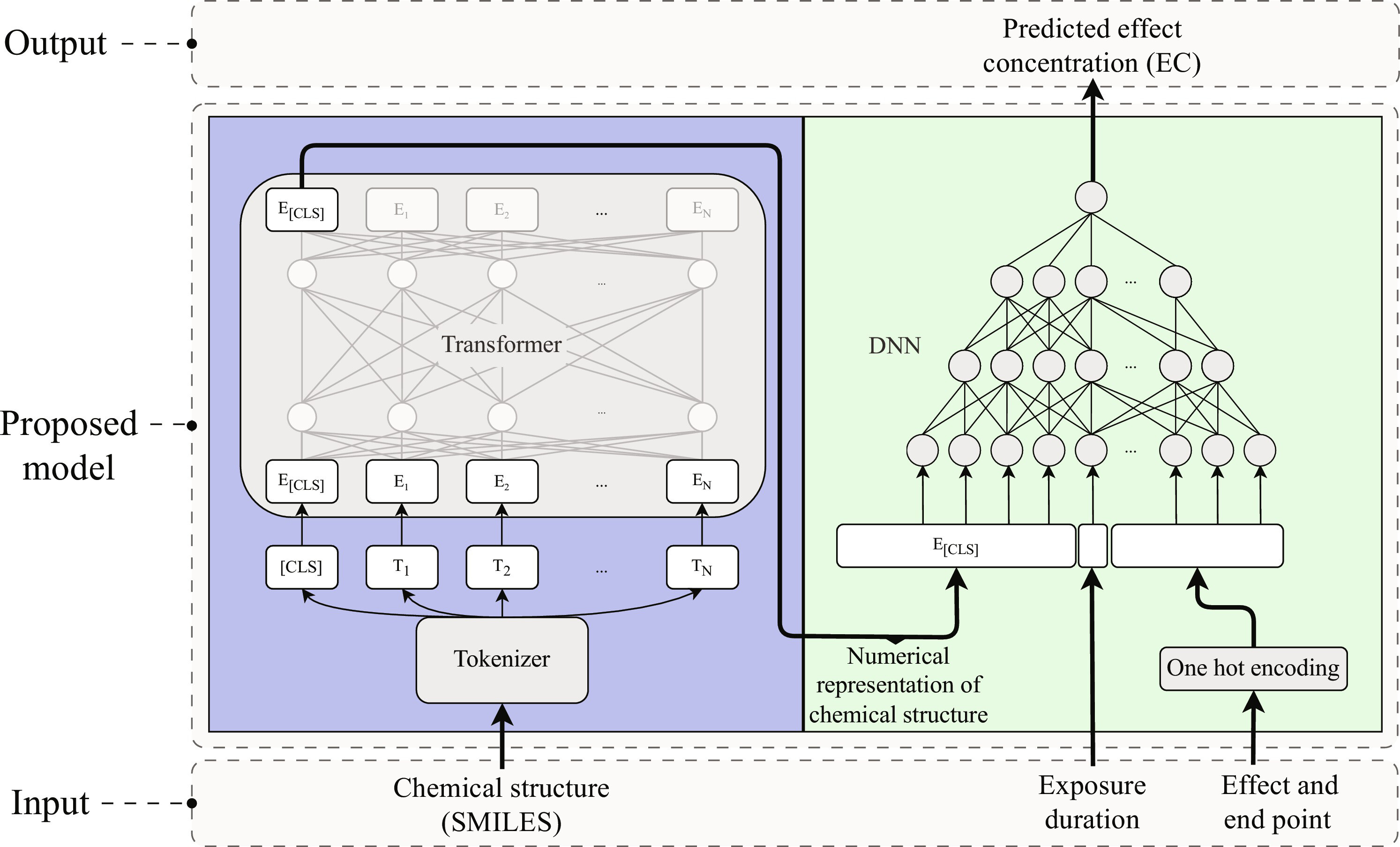 TRIDENT model architecture