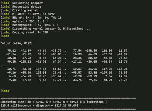 matmul example output