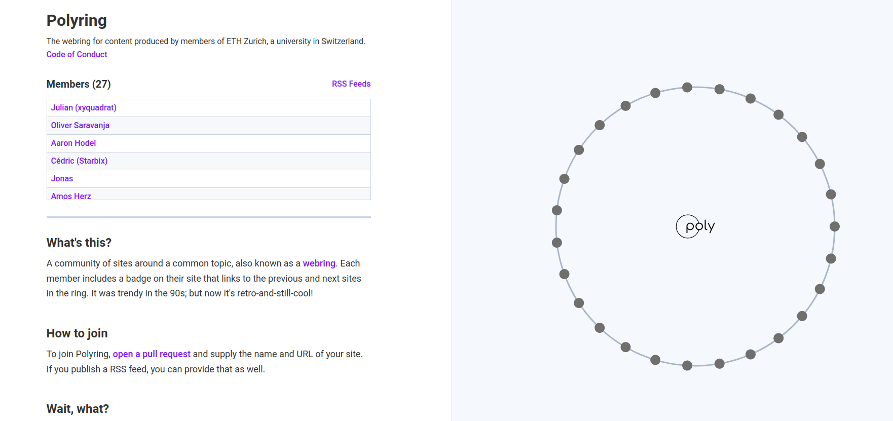 Screenshot of the polyring website