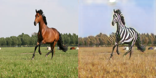 Horse to zebra example