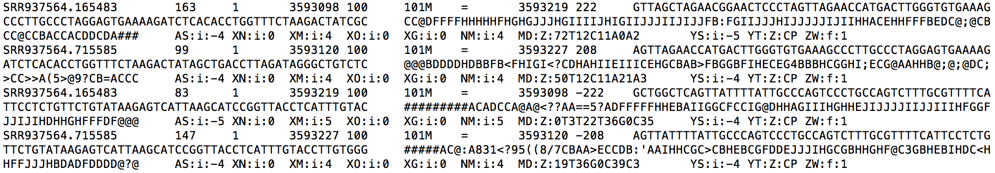 Genome BAM snippet