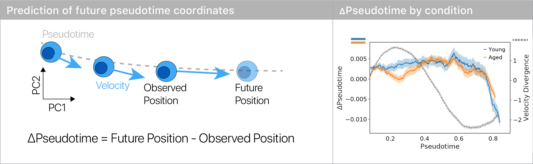 Change in pseudotime is predicted using a machine learning model for each cell.