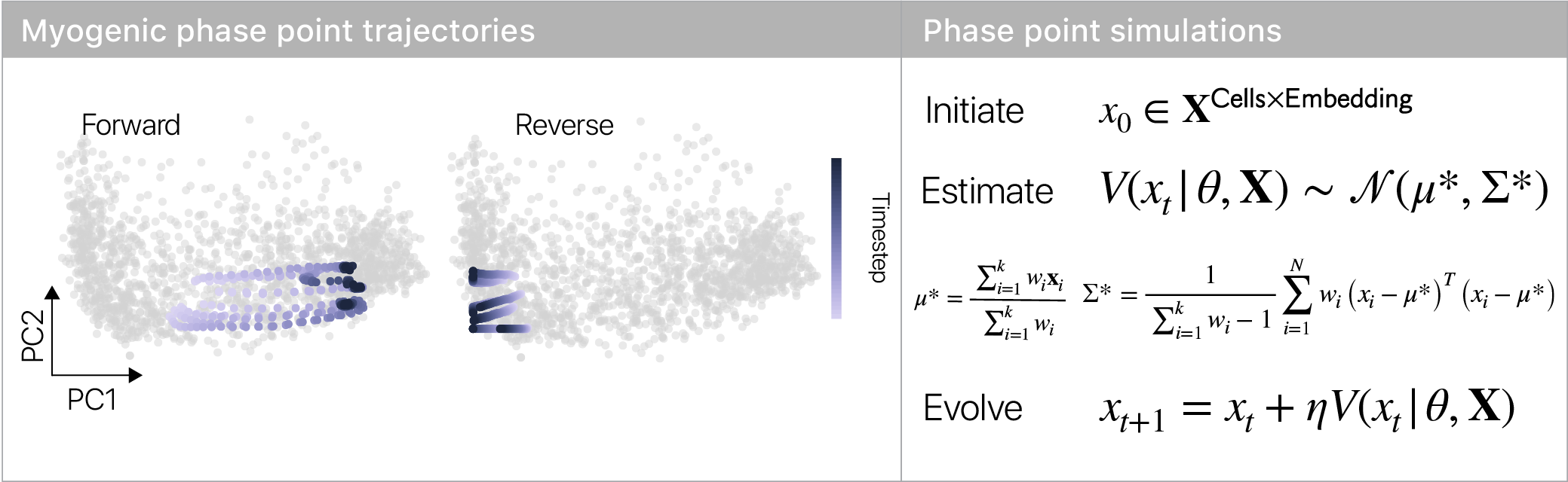 Phase point simulations show the direction and rate of motion in an RNA velocity field.