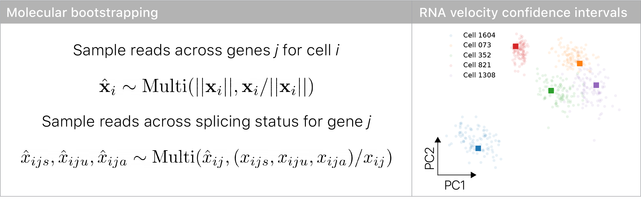 RNA velocity confidence intervals for each cell.