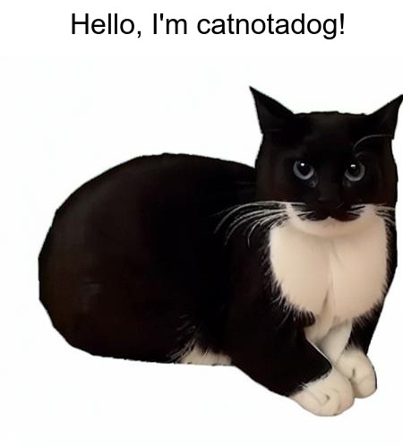 Hello, I'm catnotadog!