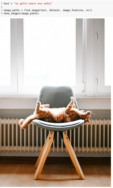 cat on a chair