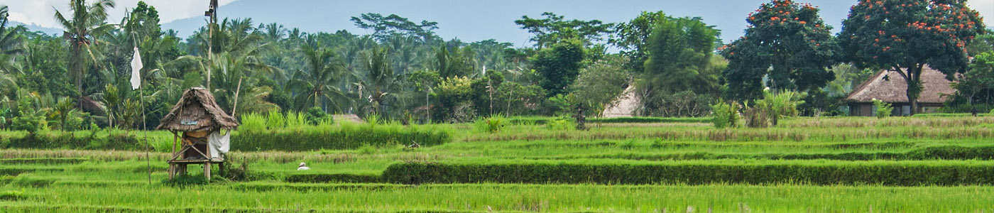 A view of Bali