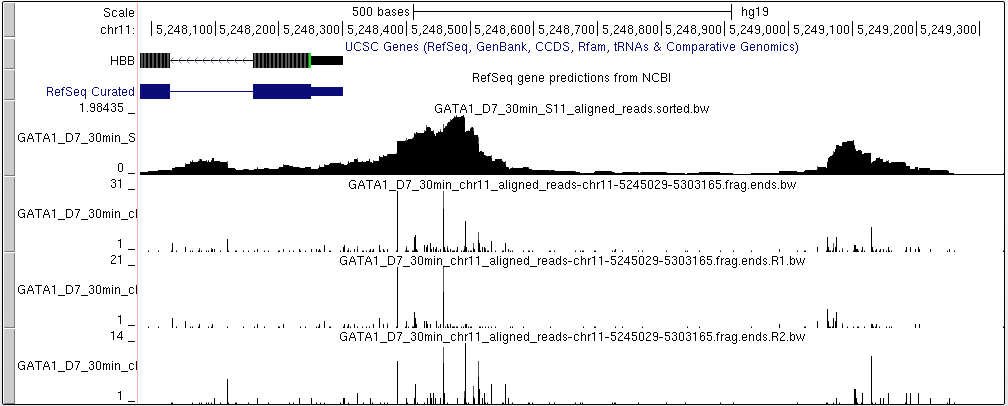 Cut profile visualized with UCSC browser