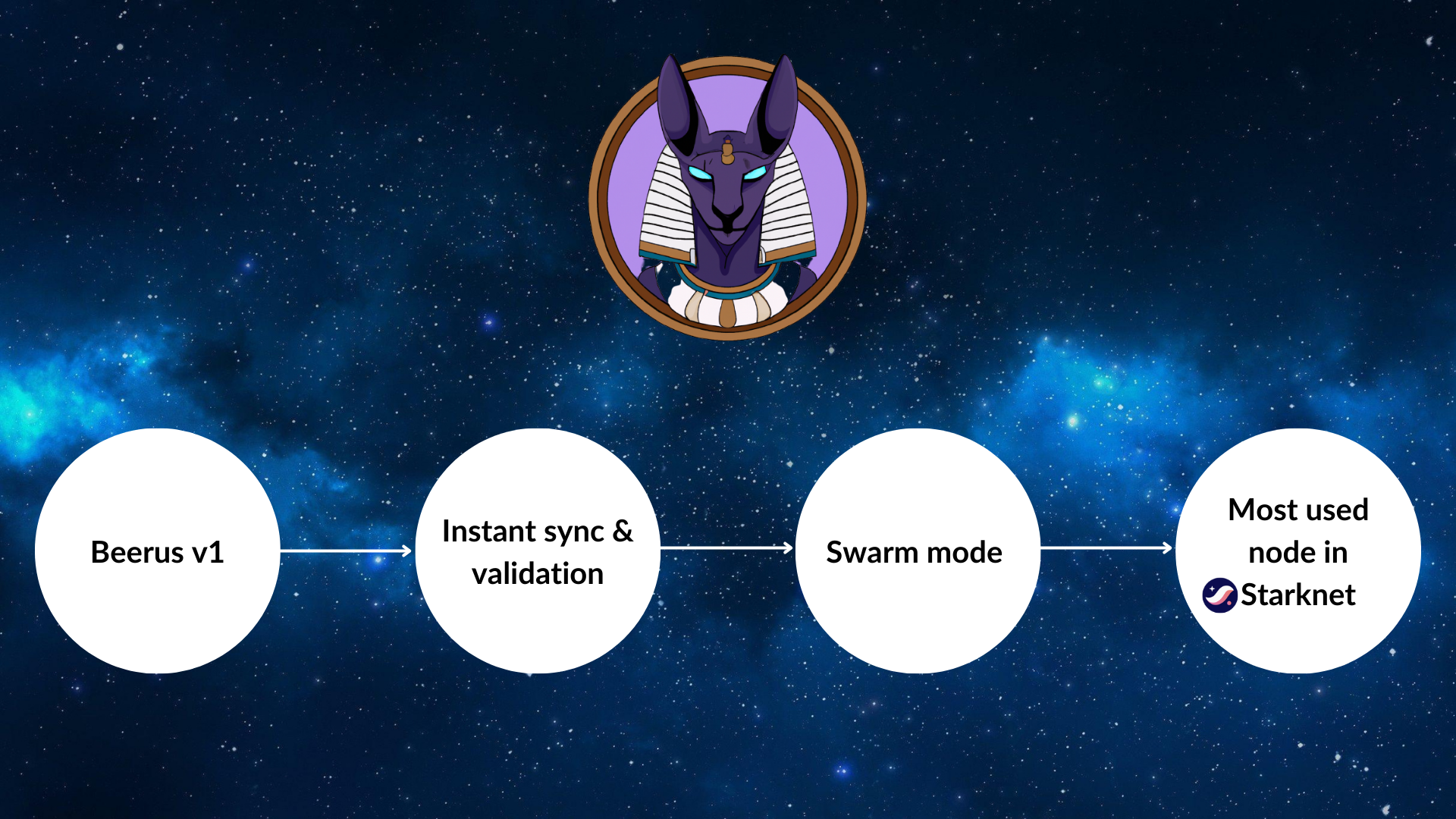 Beerus Roadmap