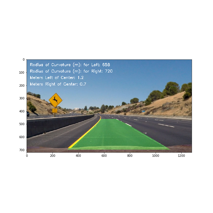 predicted lane lines