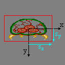 Scaled metroid