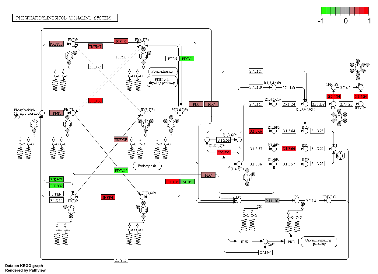 KEGG Pathways