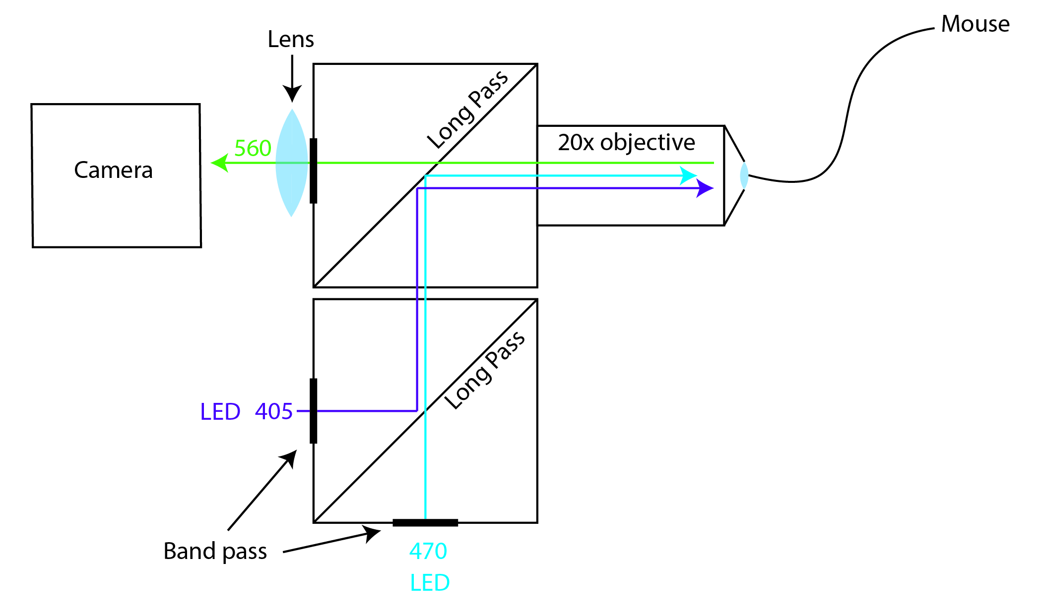 FIP setup schematic