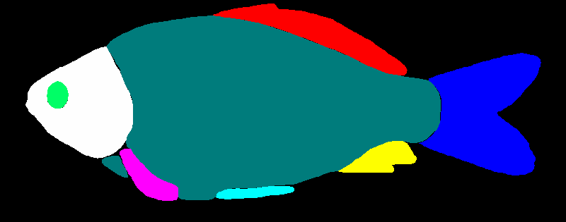 segmented fish image