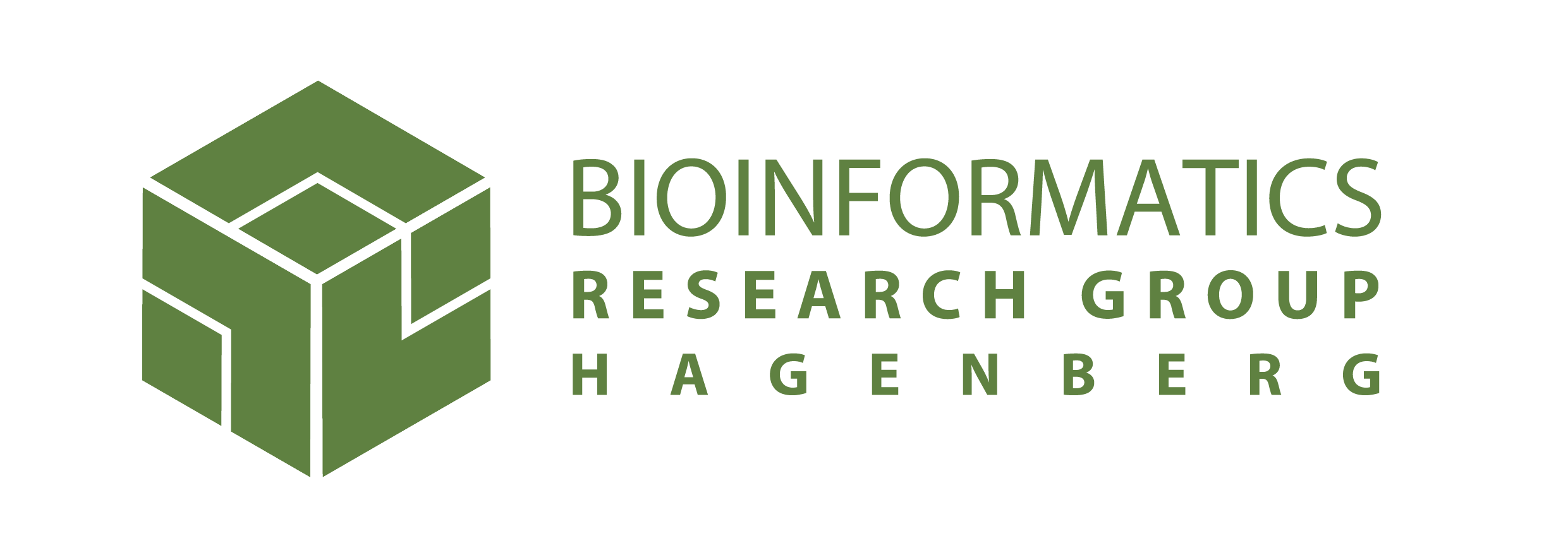 Bioinformatics Research Group Hagenberg Logo