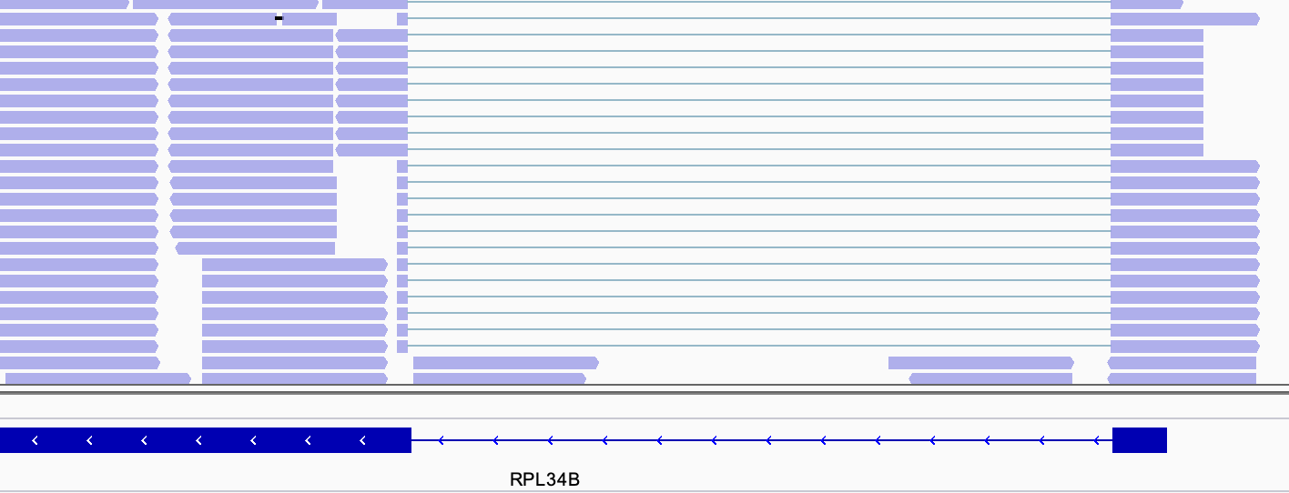 IEJR equal to 0 example