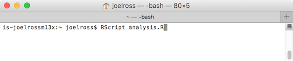 RScript from Terminal
