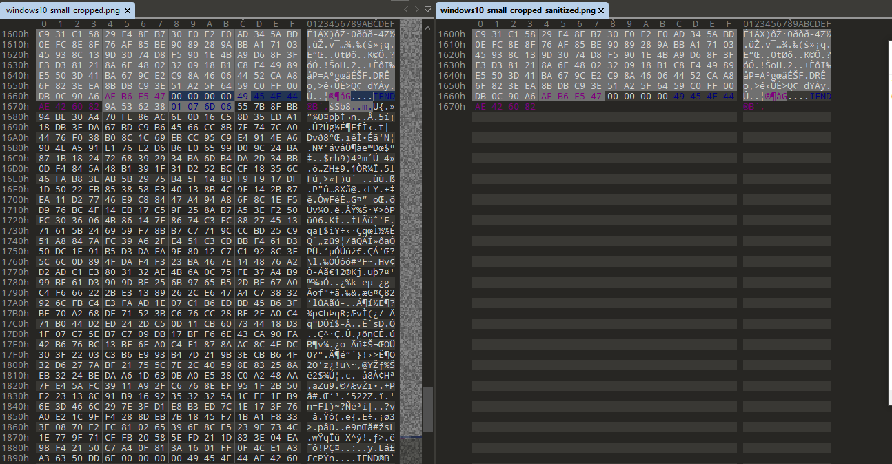 Hex comparison between sanitized and vulnerable image.