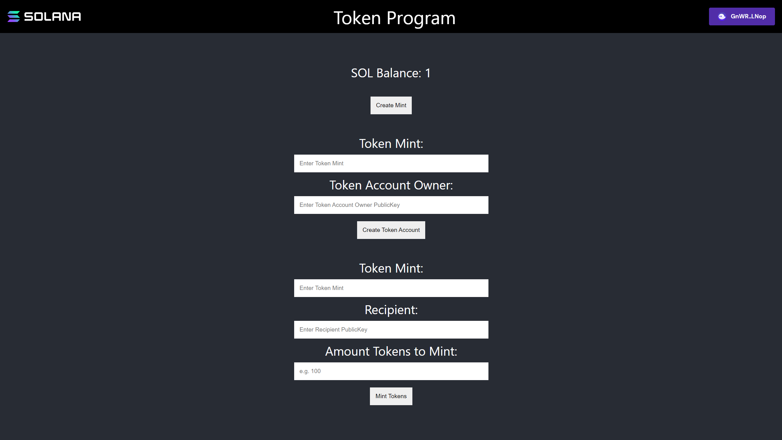 Screenshot of Token Program Challenge Frontend