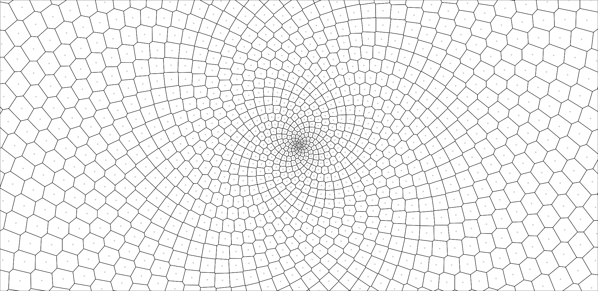 Phyllotaxis