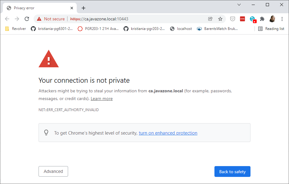 Browser with certificate error