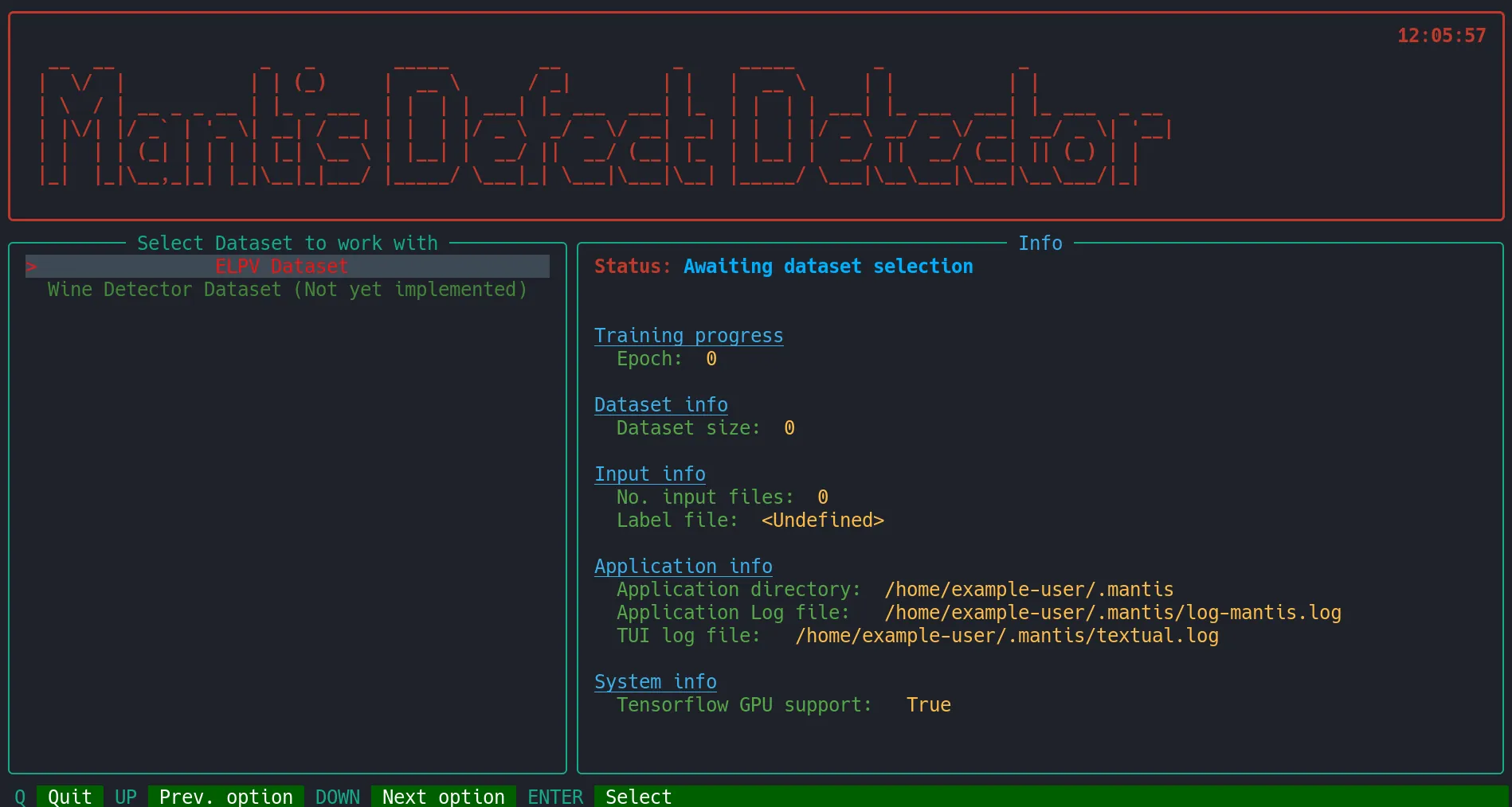 Mantis's early TUI interface