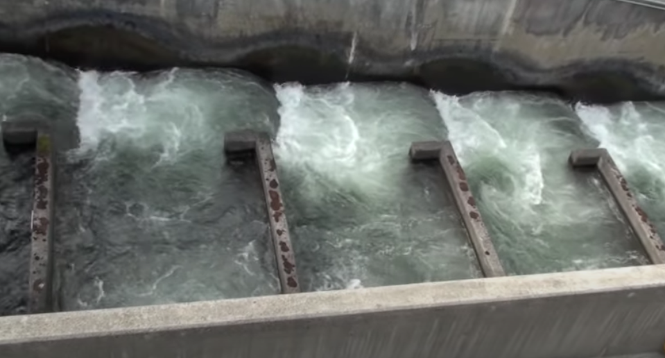 fish ladder explanation at https: //www youtube com/watch?v=sabk7Khq0kQ