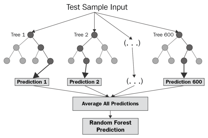 Random Forest Tree Structre